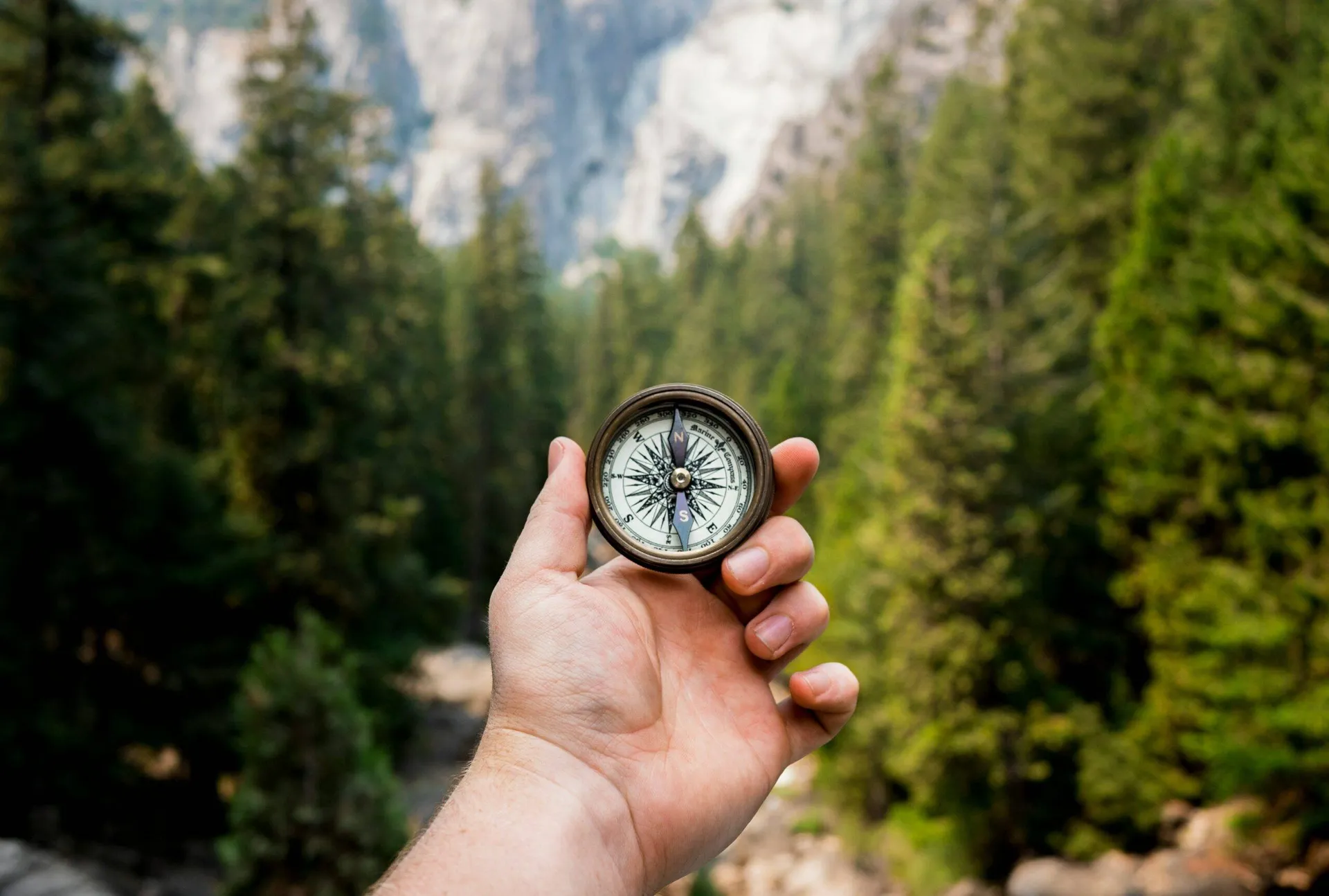 Digital Advisor mit Unternehmerkompass zur Klarheit